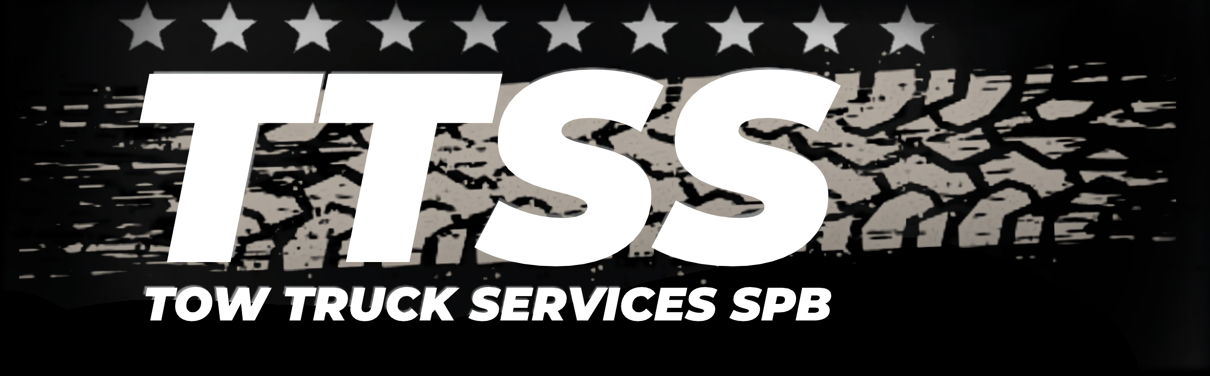 TTSS Logo